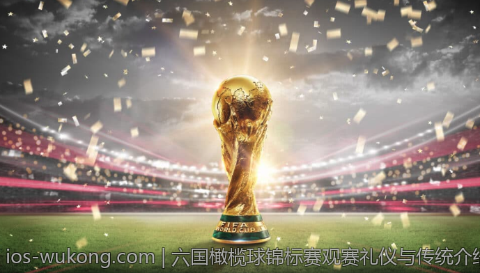 六国橄榄球锦标赛观赛礼仪与传统介绍
